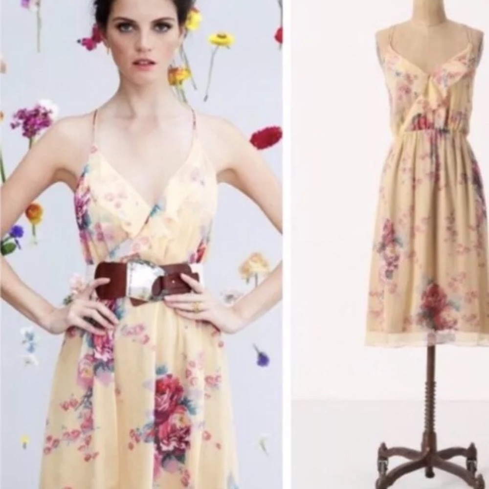 NWT Anthropologie meadow rue dress